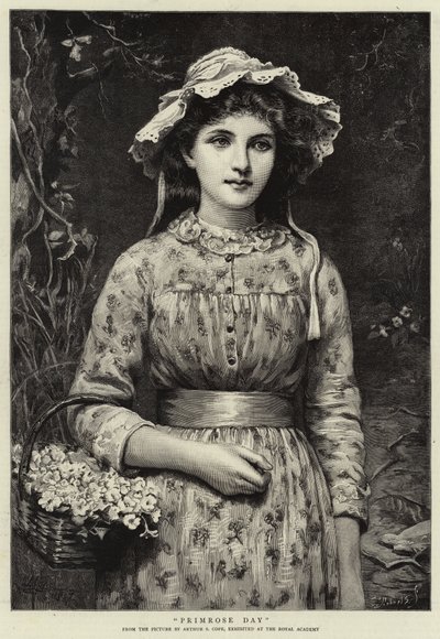 月見草の日 作： Arthur Stockdale Cope